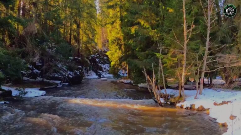 Wie finde ich möglichst saubere Wasserquellen in der Natur?